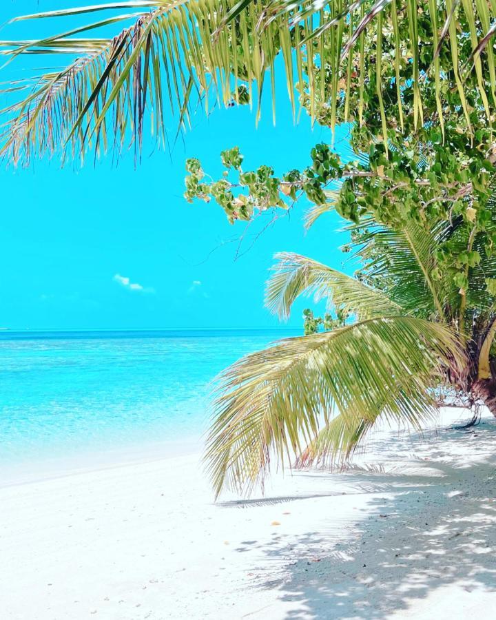 Rising Sun Beach View Thinadhoo  Extérieur photo